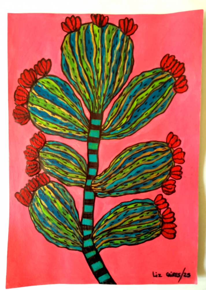 Cactus
