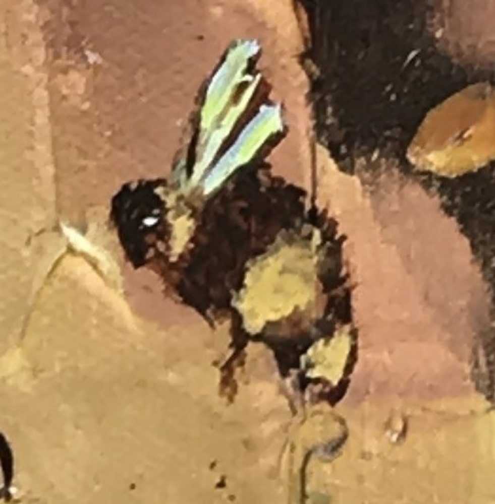 Autumn Bee