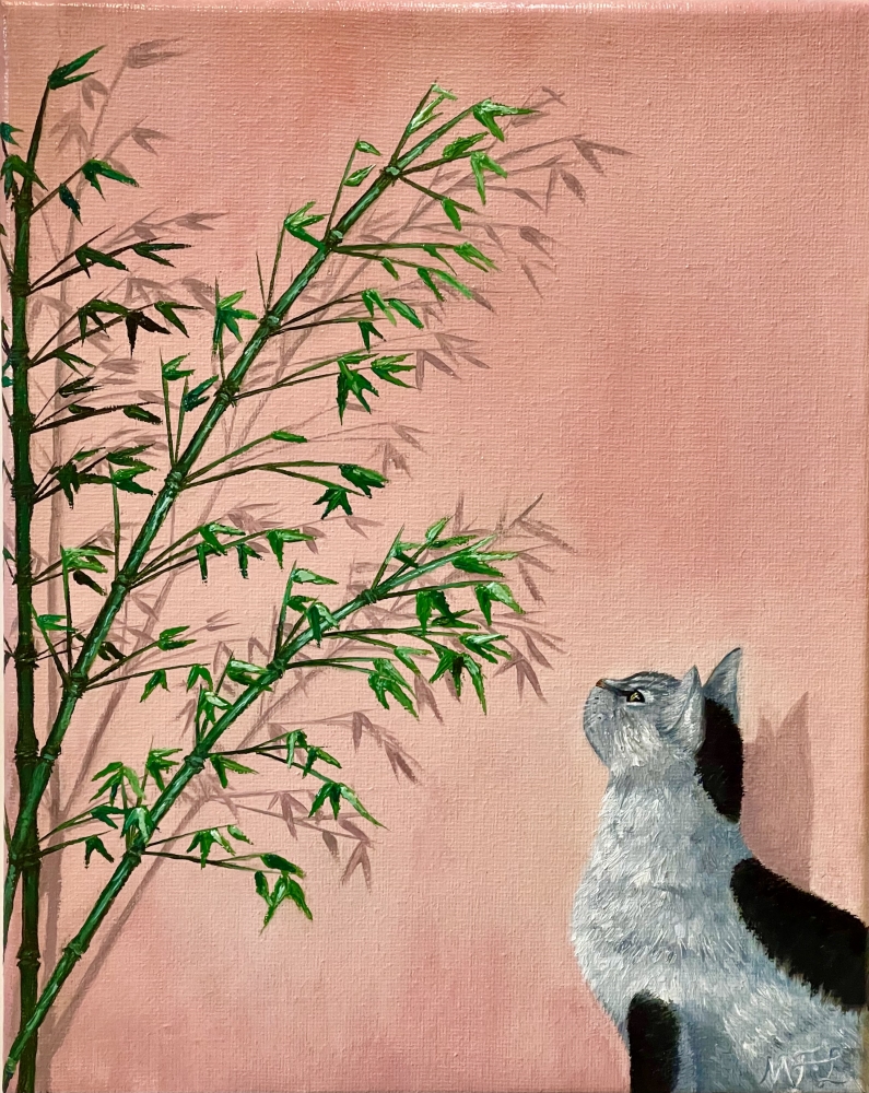The Meditation