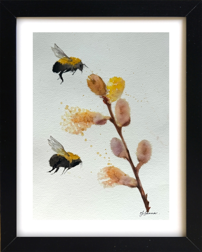 Pussy willow Flowers bumble bees