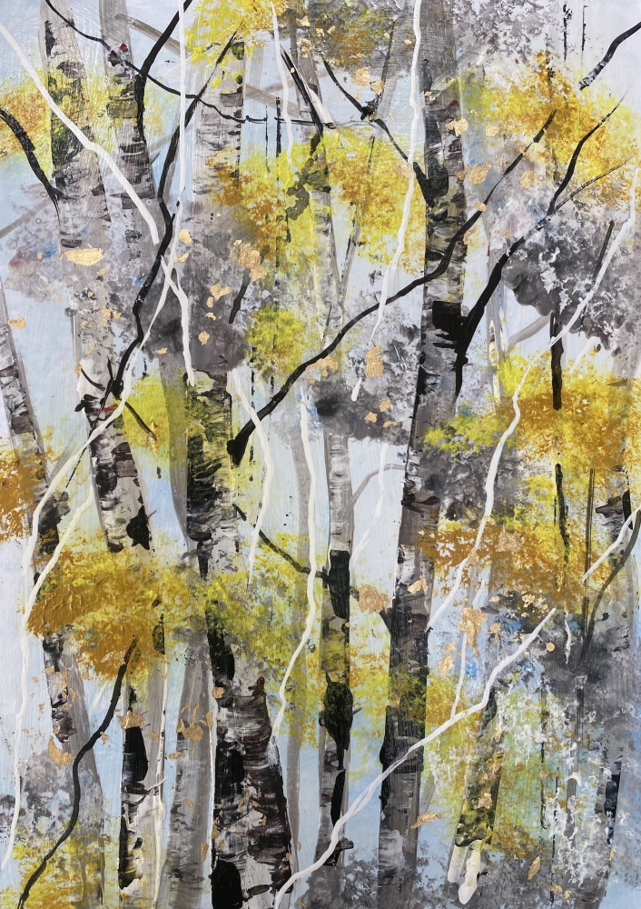 Silver Birch Trunks 1