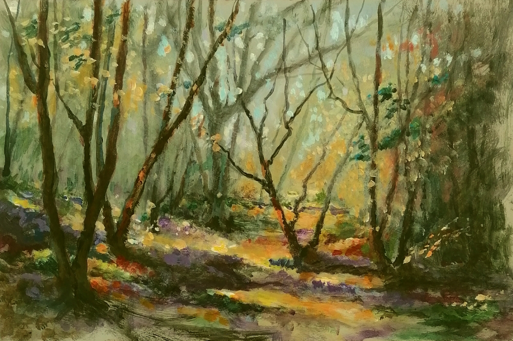 Bluebell woods