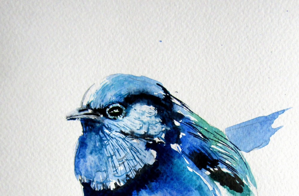 Little blue bird