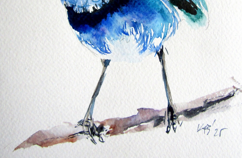 Little blue bird