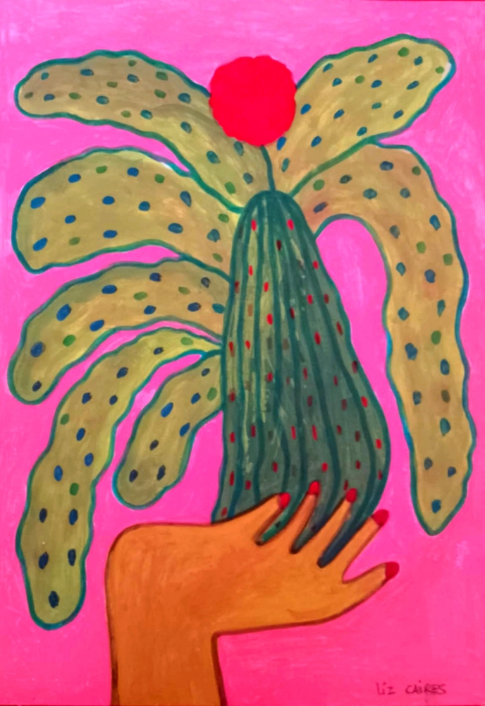 Succulent Plant