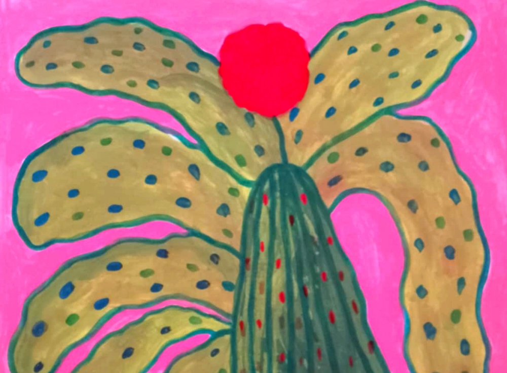 Succulent Plant