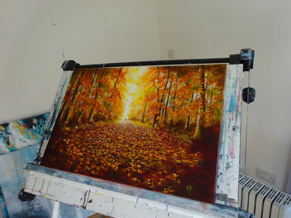 The Autumn Lights The way 