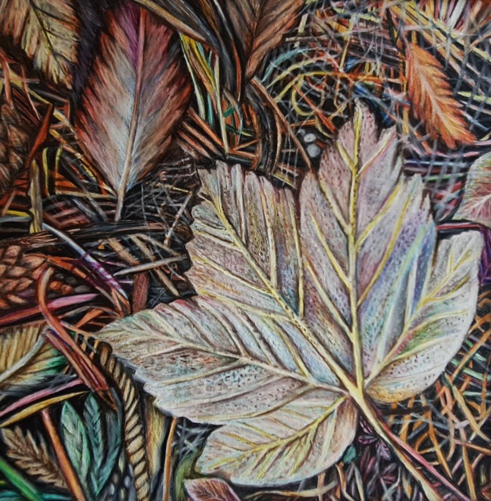 Woodland Leaves and Foliage 1