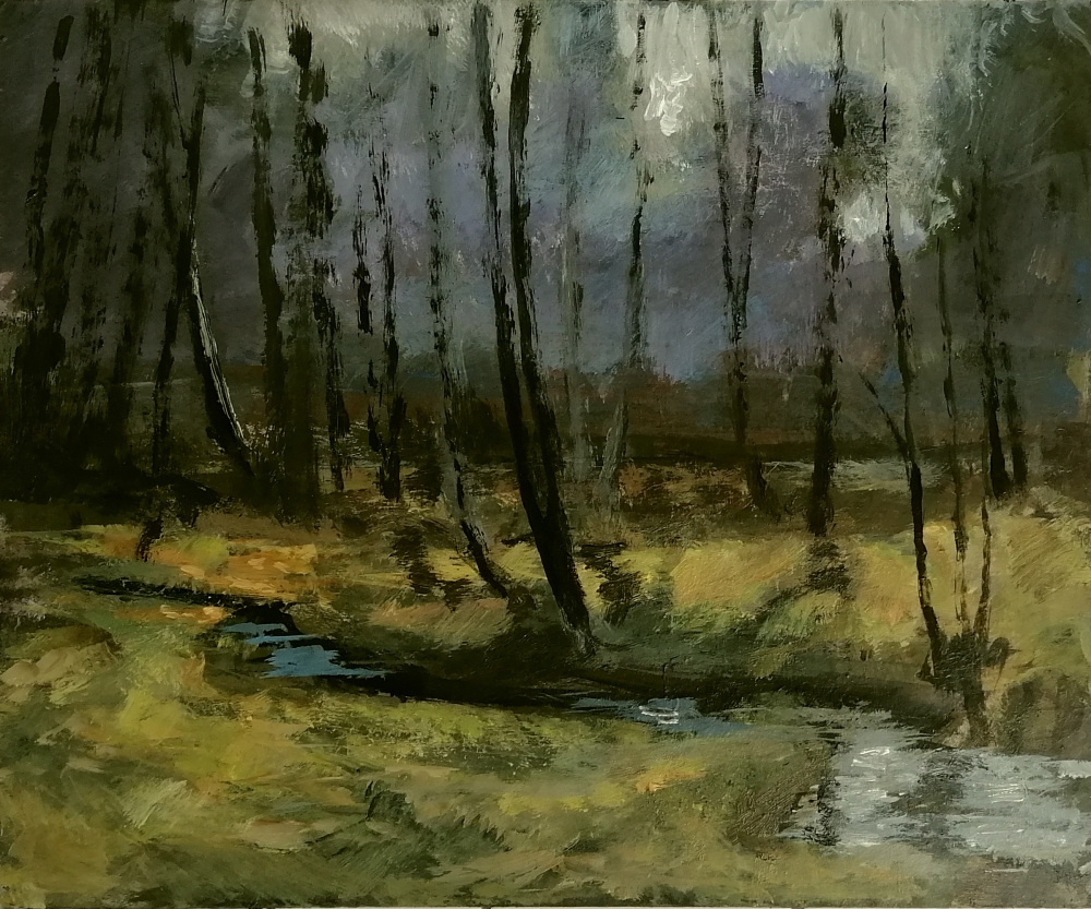 Forest stream