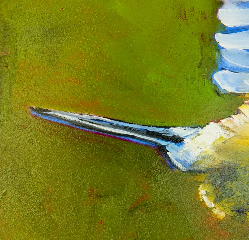 Great Tit with Peanut