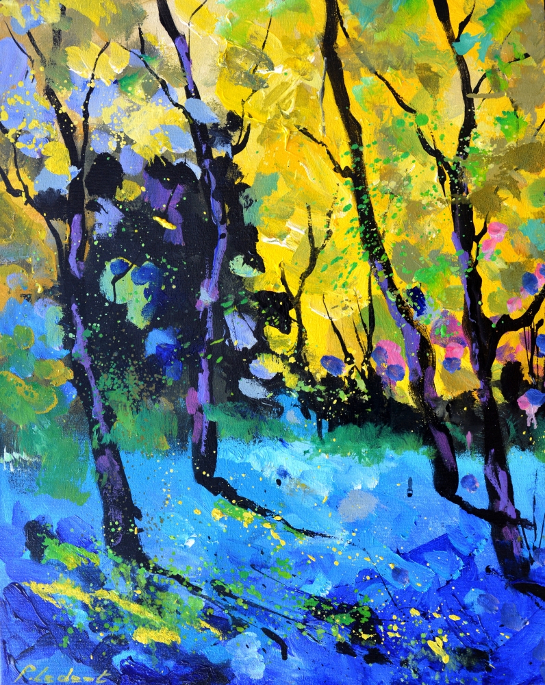 Light in the wood