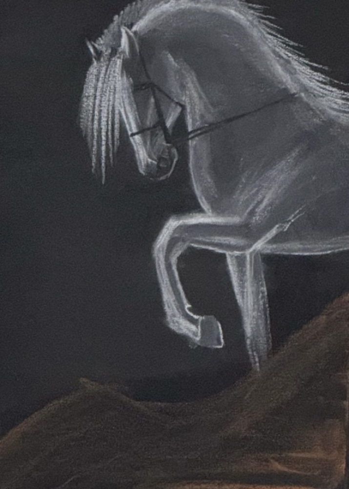 The shadow horse
