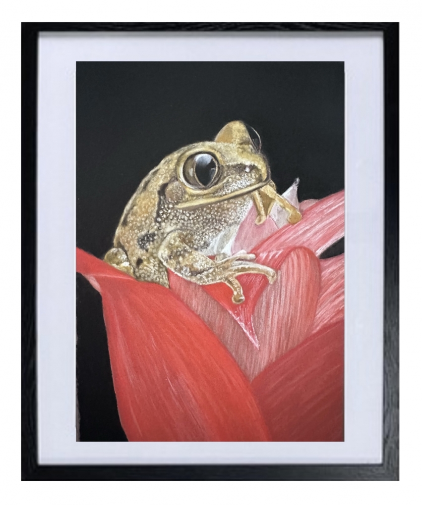 Frog in tulips