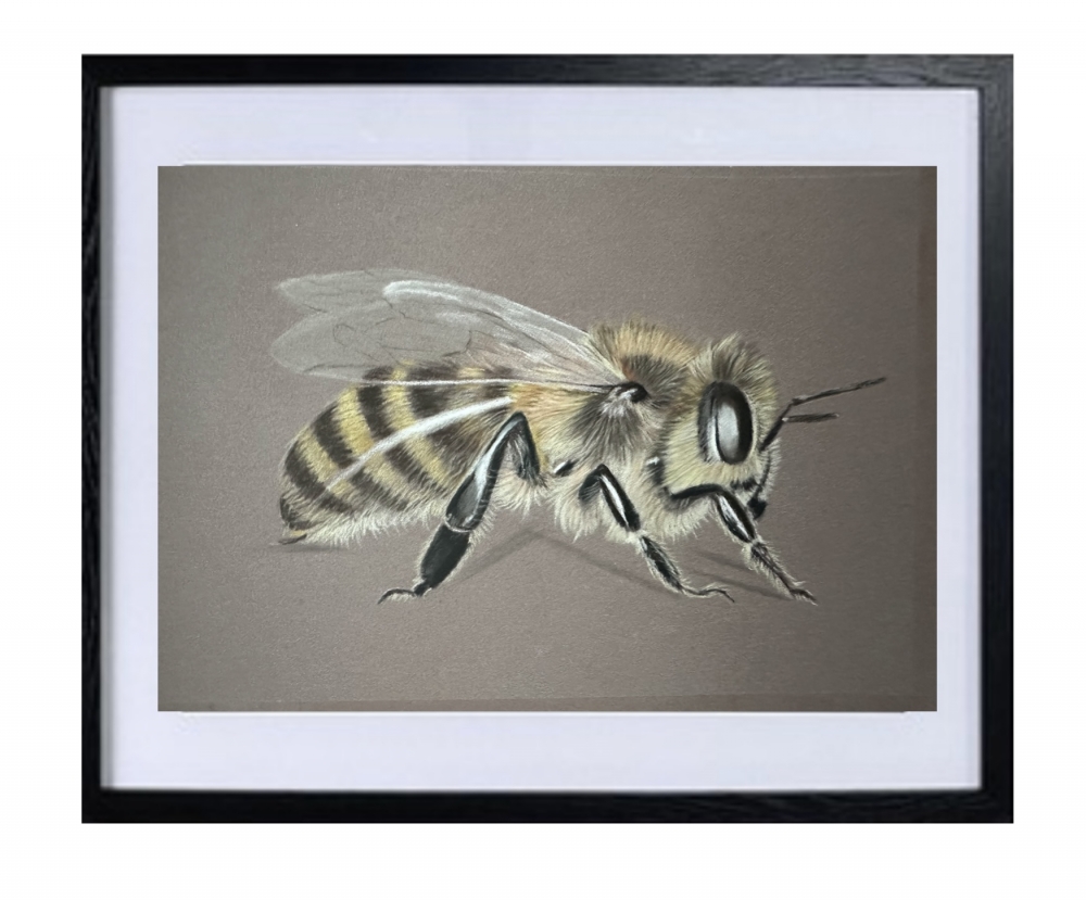 Bee