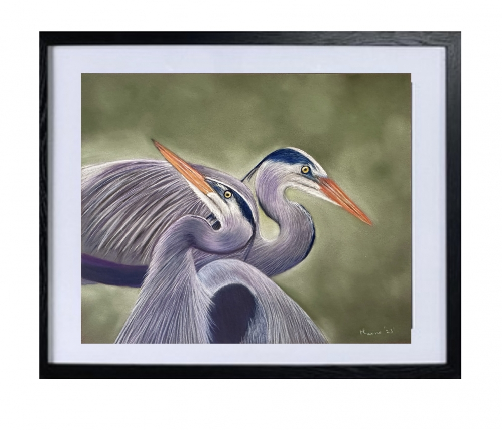 Herons