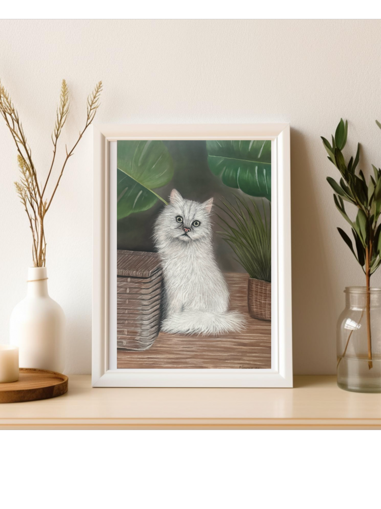 White kitten