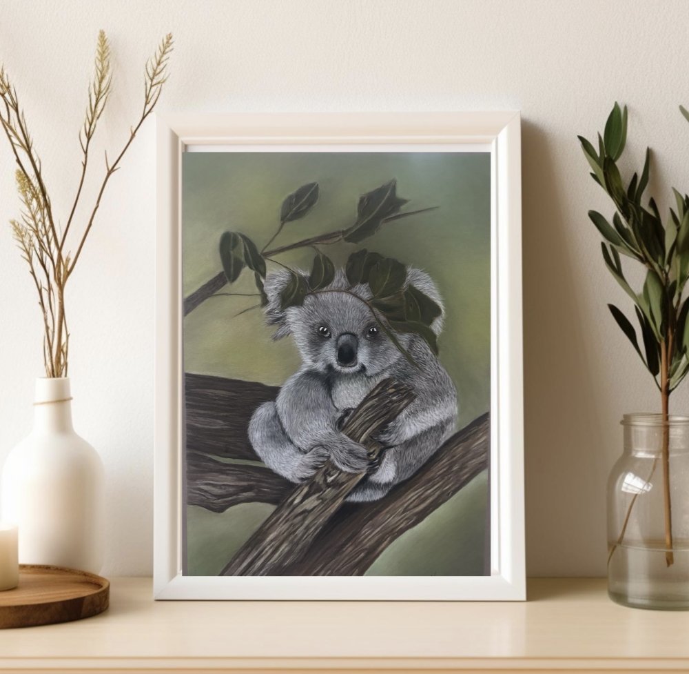Koala