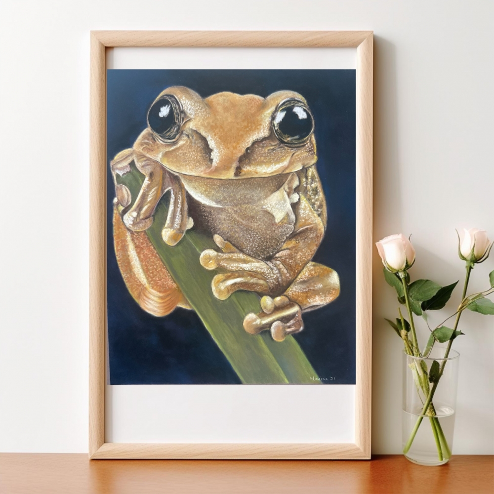 Tree frog