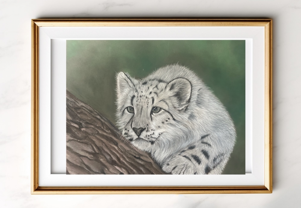 Snow leopard
