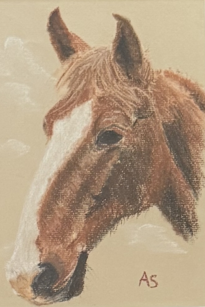 2 Horses