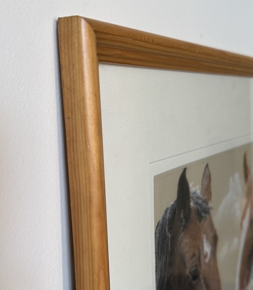 2 Horses