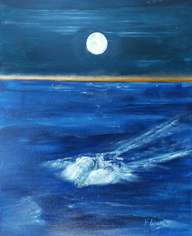 Dolphin cutting through the ocean as sunrise begins to emerge.