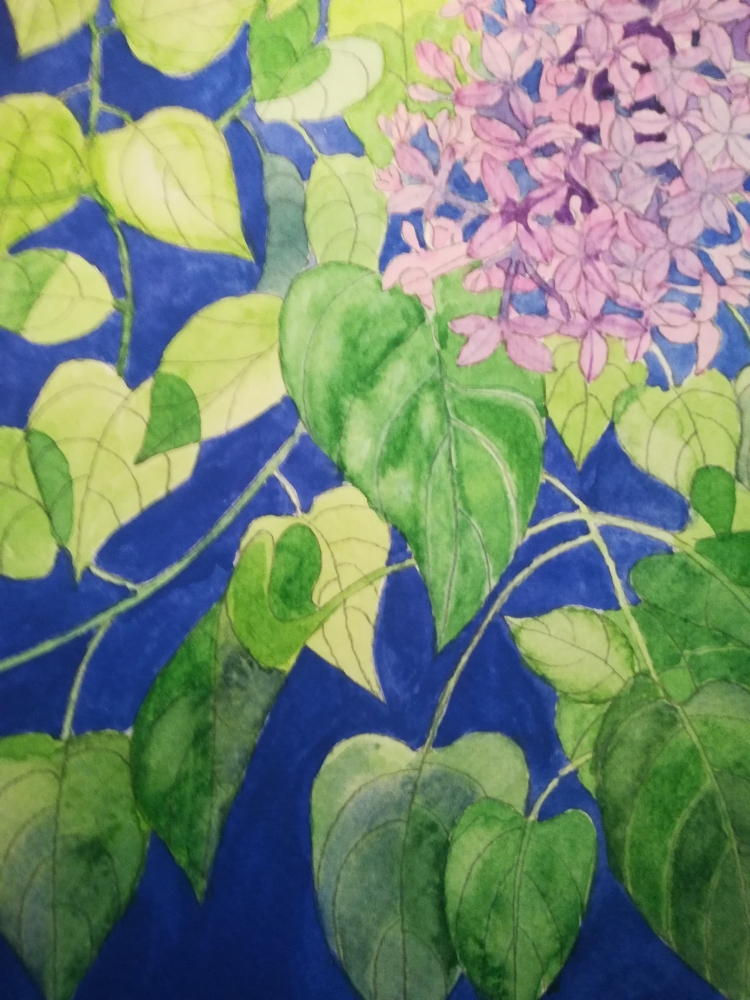 Watercolour lilac blossom 