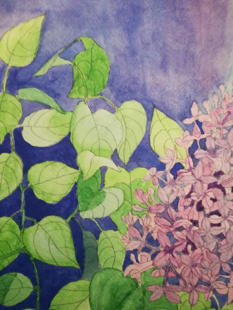 Watercolour lilac blossom 