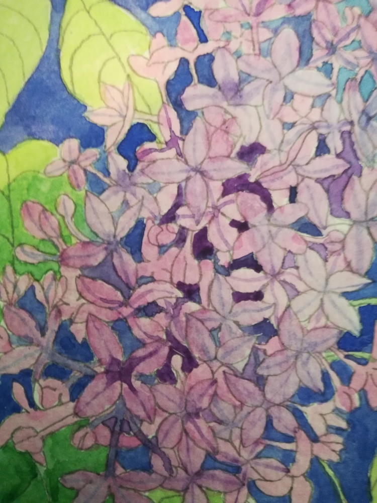 Watercolour lilac blossom 