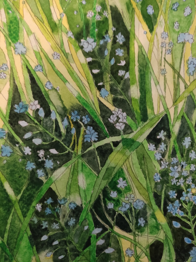 Forget-me-nots watercolour painting 