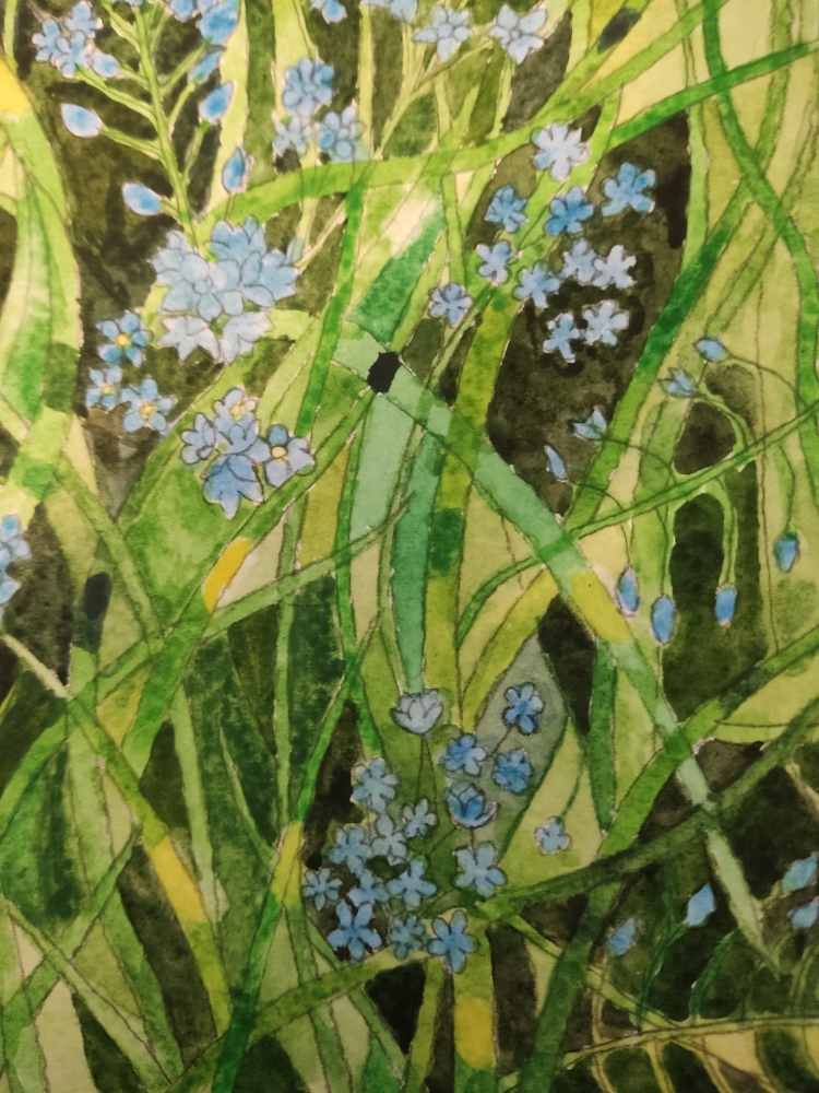 Forget-me-nots watercolour painting 