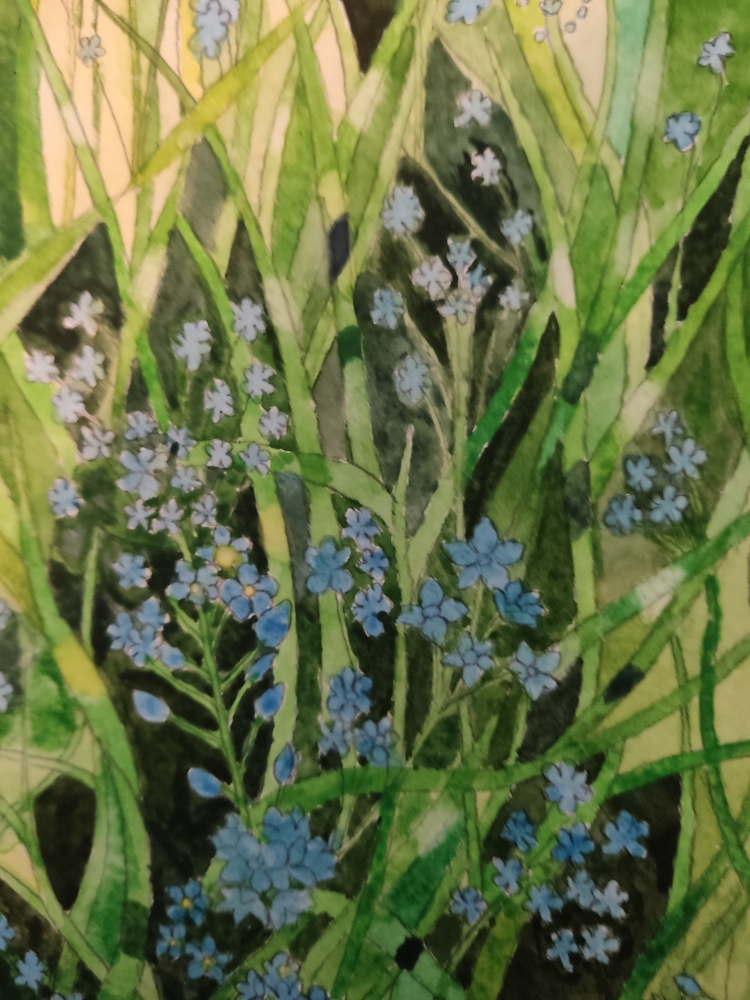 Forget-me-nots watercolour painting 