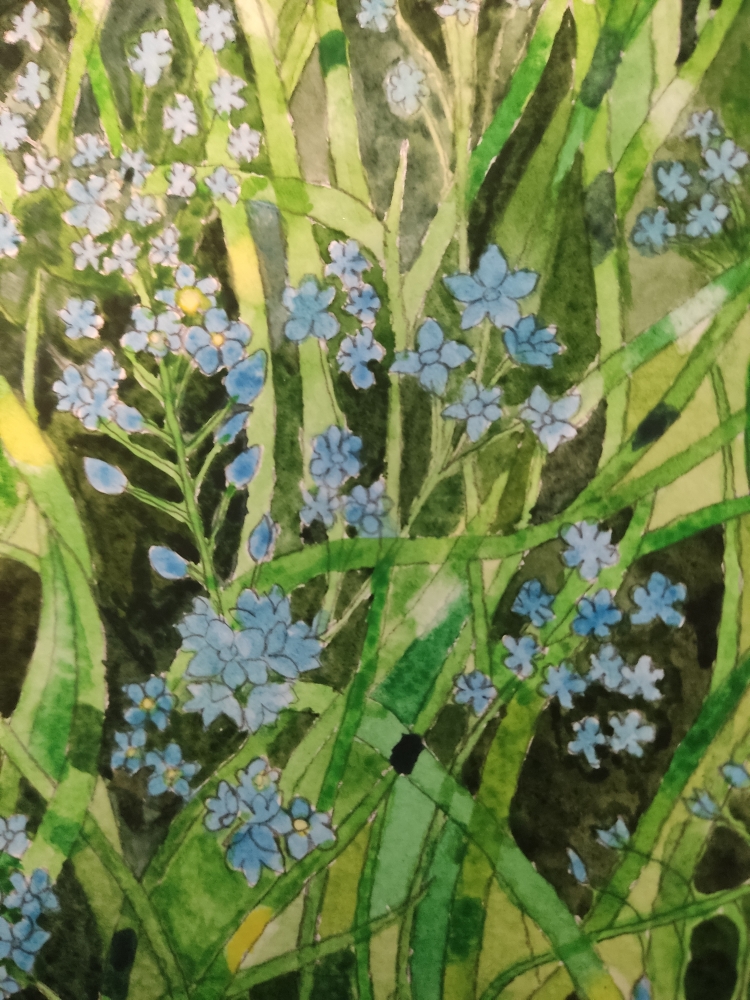 Forget-me-nots watercolour painting 