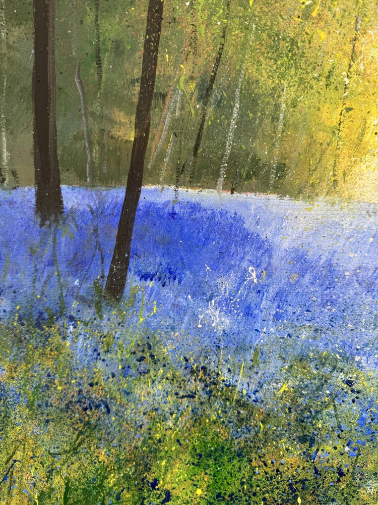 Warm Light Through Bluebell Woods