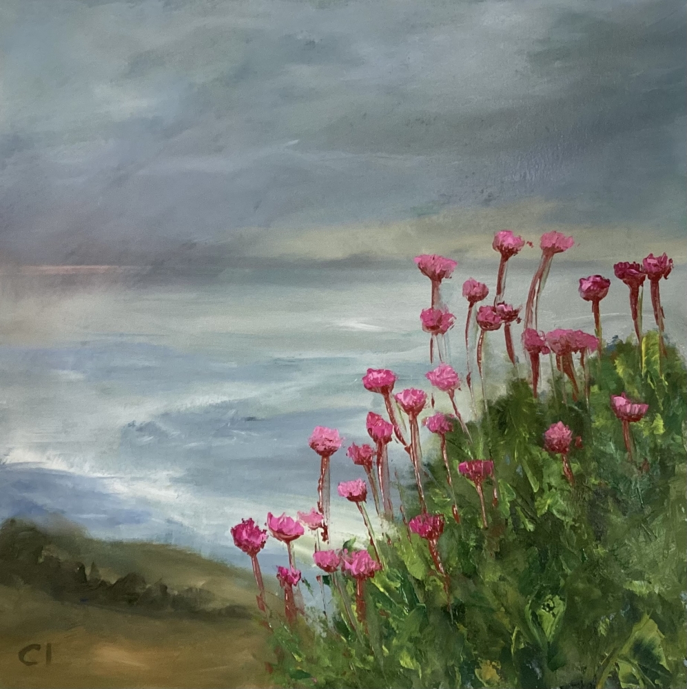 Sea Thrift in late Spring