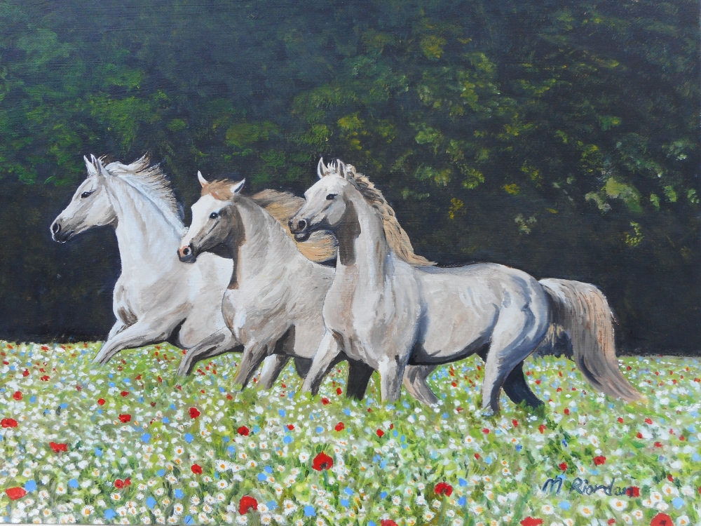 Horses in wildflower meadow