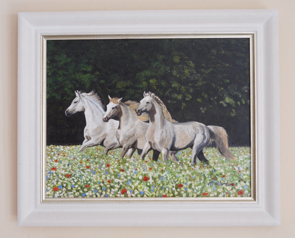 Horses in wildflower meadow