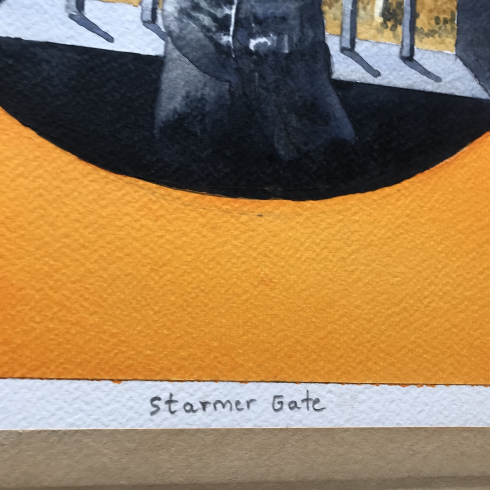 STARMER GATE - BOXED OUT OF SIGHT