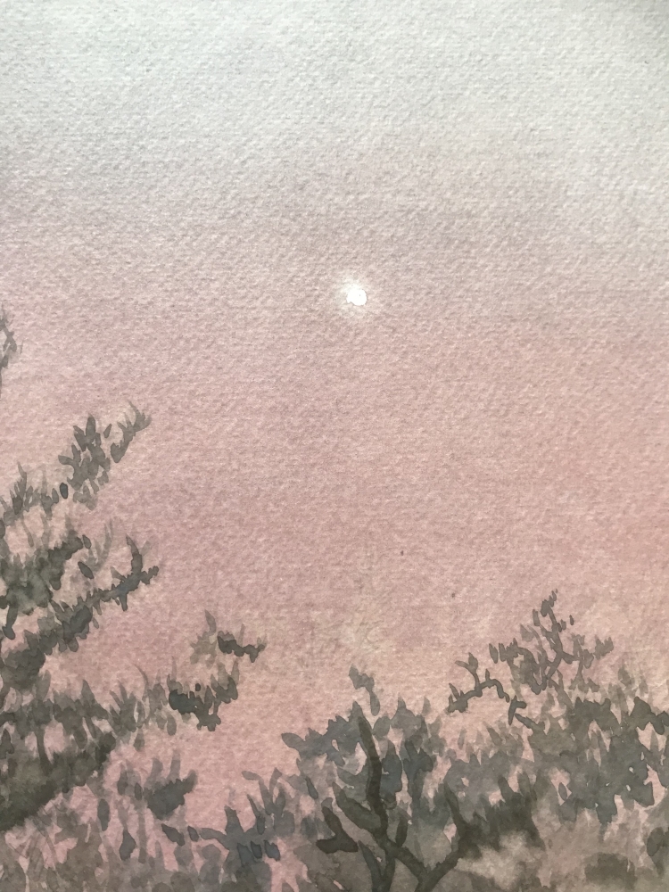 MORNING STAR