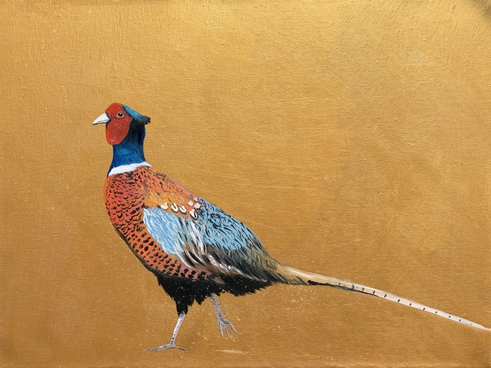 Take a walk on the Wild Side ~ Pheasant on gold