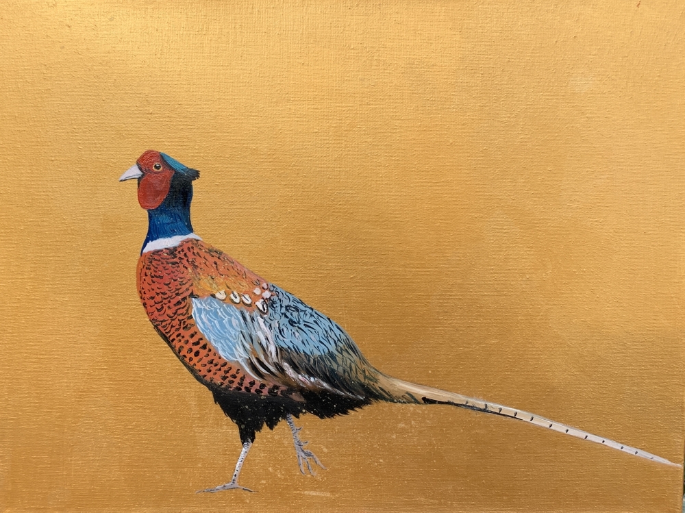 Take a walk on the Wild Side ~ Pheasant on gold