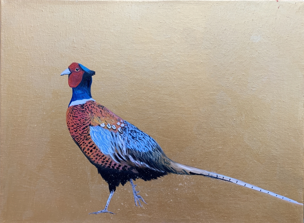 Take a walk on the Wild Side ~ Pheasant on gold
