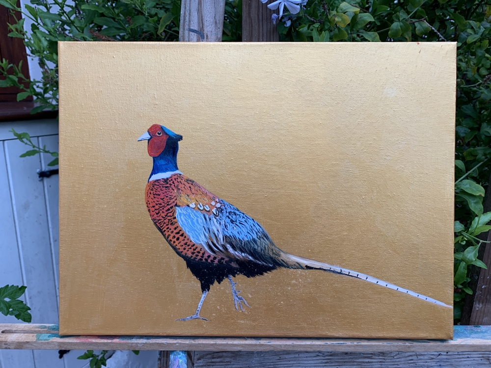 Take a walk on the Wild Side ~ Pheasant on gold