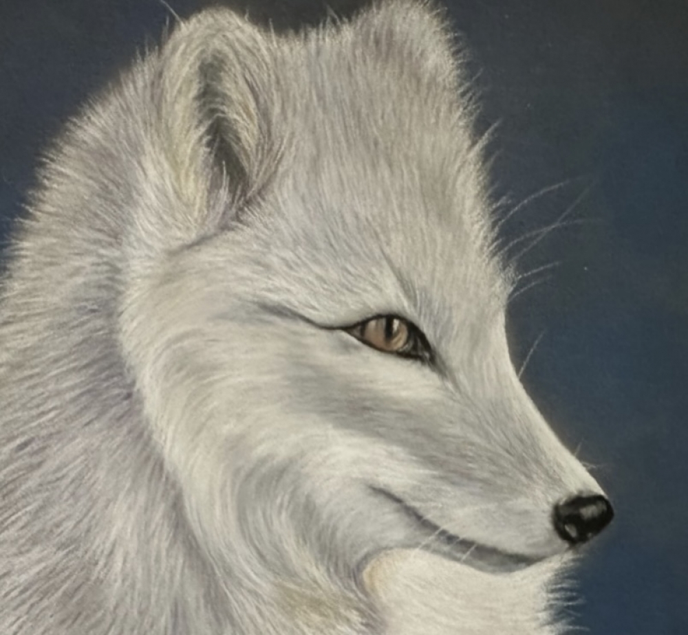 White wolf