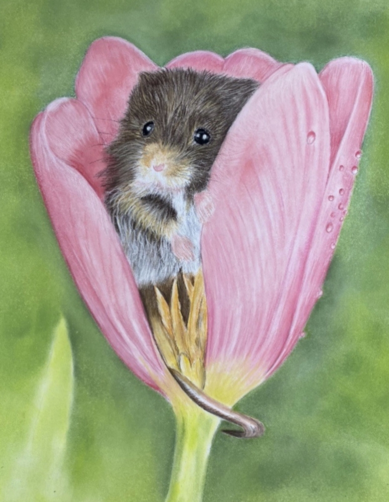 Mouse hiding in tulip