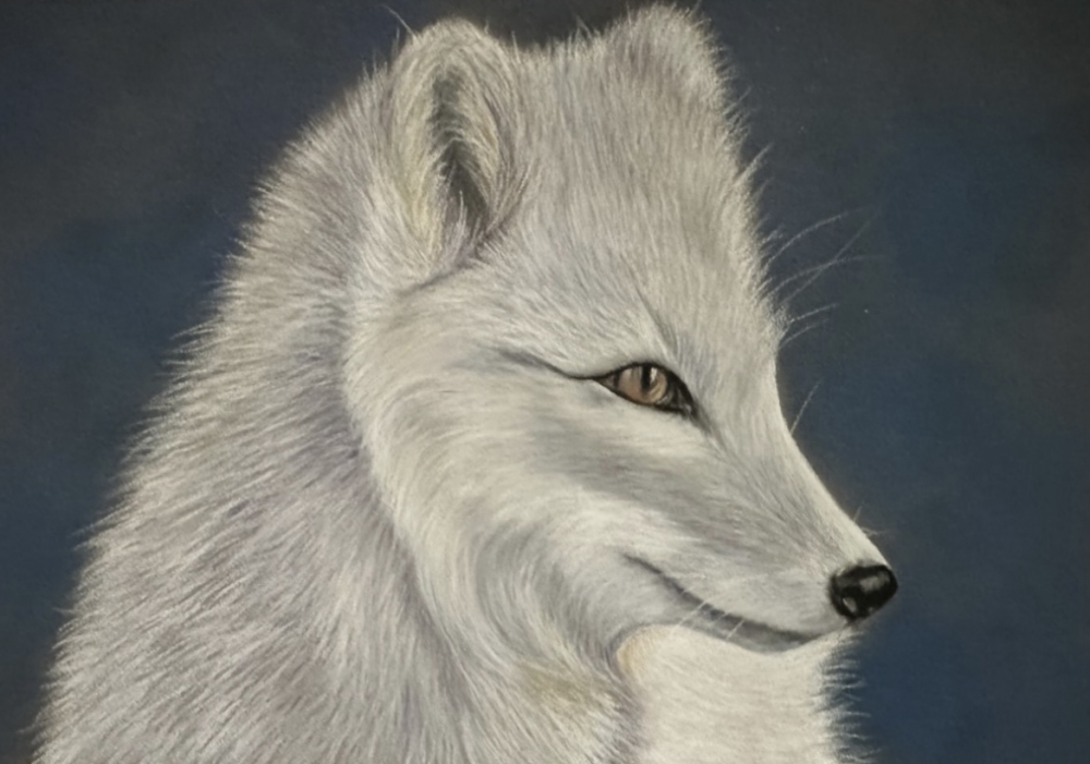 White wolf