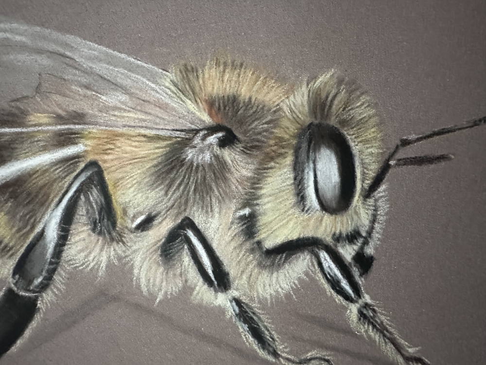 Bee
