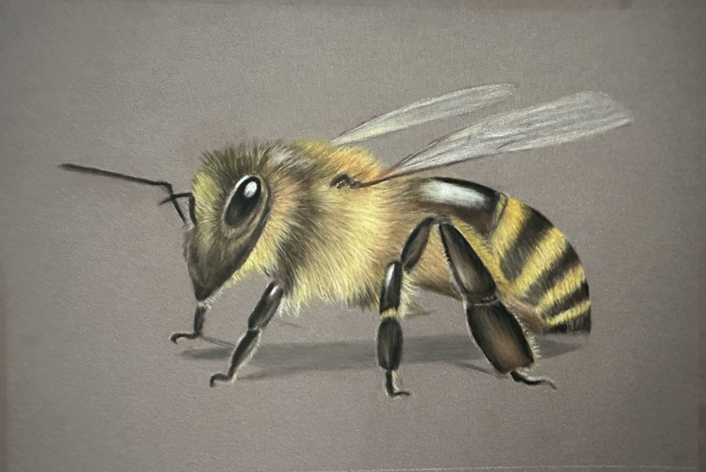 Bee