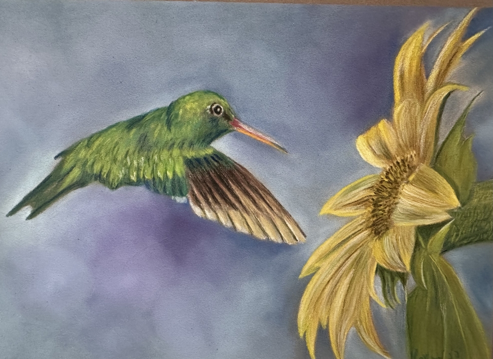 Hummingbird