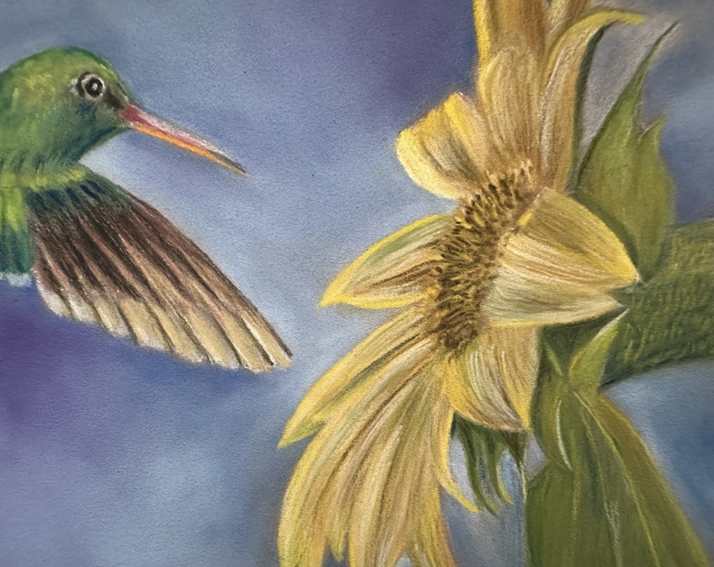 Hummingbird